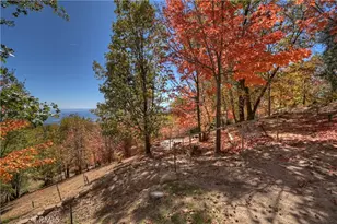 22 Holly Dr, Running Springs, CA 92382 - Photo 49