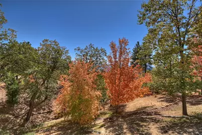 22 Holly Drive, Running Springs, CA 92382 - Photo 13