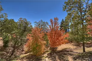 22 Holly Dr, Running Springs, CA 92382 - Photo 13