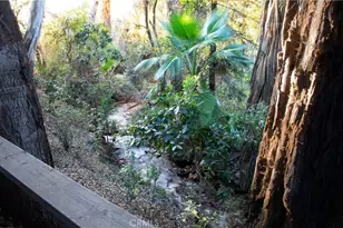 2700 Mill Creek Rd, Mentone, CA 92359 - Photo 3