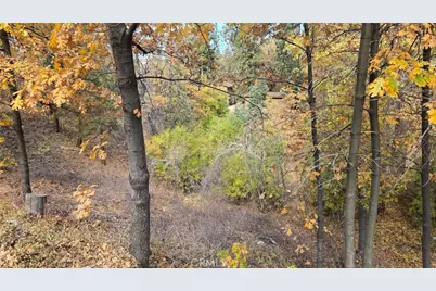 1000 Butte Avenue, Big Bear Lake, CA 92314 - Photo 5