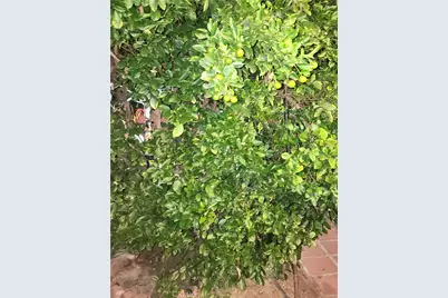 8345 Kester, Panorama City, CA 91402 - Photo 49