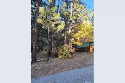 42736 Willow Avenue, Big Bear Lake, CA 92315 - Photo 1
