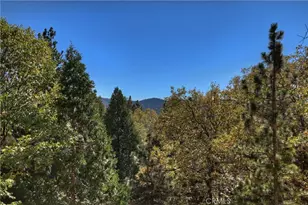 27721 St Bernard Ln, Lake Arrowhead, CA 92352 - Photo 39