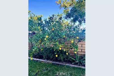 879 Derby, Corona, CA 92882 - Photo 49