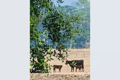 860 Annandale, Beaumont, CA 92223 - Photo 61