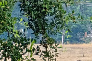 860 Annandale, Beaumont, CA 92223 - Photo 61