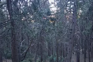 0 Reservoir, Cedarpines Park, CA 92322 - Photo 1