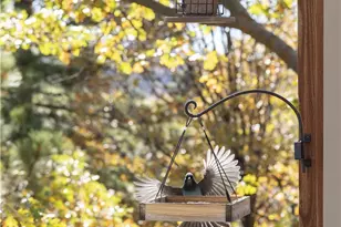 1010 Black Oaks, Lake Arrowhead, CA 92352 - Photo 33