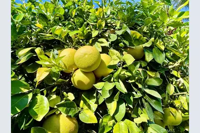 40990 Paxton Drive #7, Rancho Mirage, CA 92270 - Photo 47