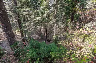 529 W Victoria Ct, Lake Arrowhead, CA 92352 - Photo 17