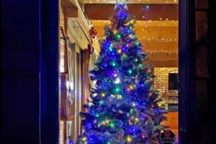 40264 Bonita, Big Bear Lake, CA 92315 - Photo 73