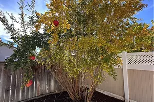 1054 E Commonwealth Ave, San Jacinto, CA 92583 - Photo 19