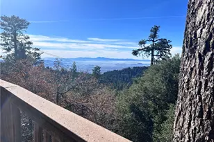 25515 True, Twin Peaks, CA 92391 - Photo 17