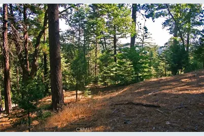 525 Ca-173, Lake Arrowhead, CA 92352 - Photo 7