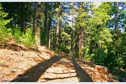 525 Ca-173, Lake Arrowhead, CA 92352 - Photo 13