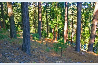 525 Ca-173, Lake Arrowhead, CA 92352 - Photo 9