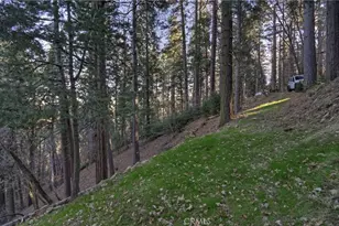 687 Spring Dr, Cedarpines Park, CA 92322 - Photo 31