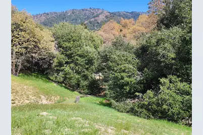 327 Davos Drive, Crestline, CA 92325 - Photo 21