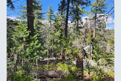 586 Rose, Twin Peaks, CA 92391 - Photo 3