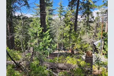 586 Rose, Twin Peaks, CA 92391 - Photo 13