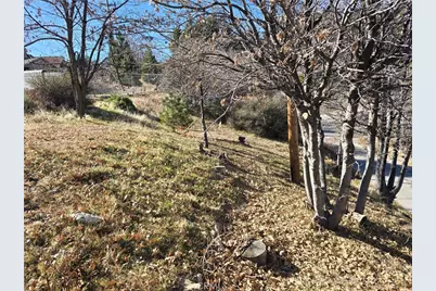 2350 Deep Creek, Running Springs, CA 92382 - Photo 3