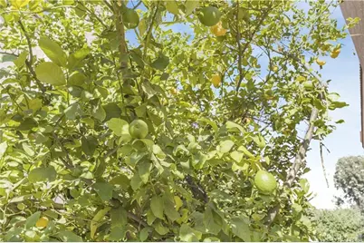 1141 Via Antibes, Redlands, CA 92374 - Photo 29