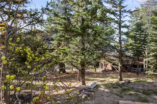 1944 Willow, Running Springs, CA 92382 - Photo 41