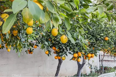 23191 Canyon Estates, Corona, CA 92883 - Photo 33