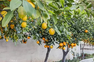 23191 Canyon Estates, Corona, CA 92883 - Photo 33