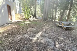 901 CA-173, Lake Arrowhead, CA 92352 - Photo 45