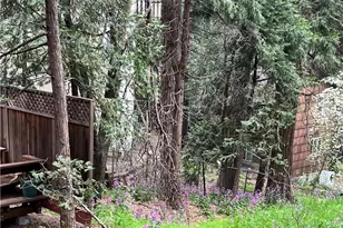 23348 Outlook, Crestline, CA 92325 - Photo 25