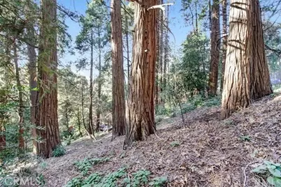 2661 Scenic, Crestline, CA 92325 - Photo 3
