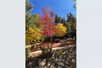 29729 Katharine, Cedar Glen, CA 92321 - Photo 39
