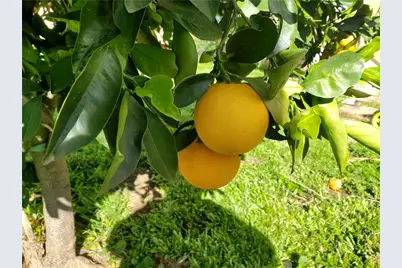 1192 Cherry Lane, Calimesa, CA 92320 - Photo 27