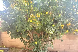 1192 Cherry Ln, Calimesa, CA 92320 - Photo 23