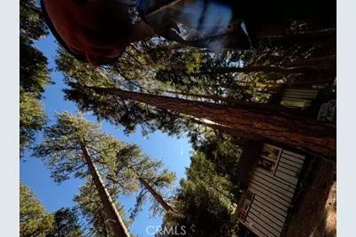 9202 Wood, Forest Falls, CA 92339 - Photo 3