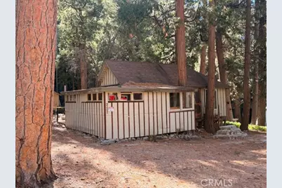 9202 Wood, Forest Falls, CA 92339 - Photo 11