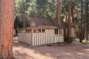 9202 Wood, Forest Falls, CA 92339 - Photo 11