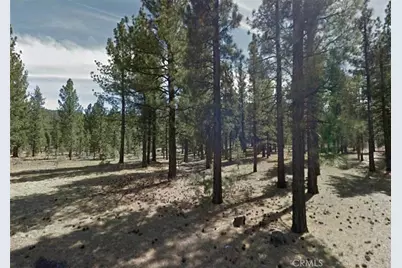 0 Lot 59 Avenue E, Big Bear Lake, CA 92314 - Photo 3