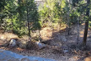 0 Meadow Dr, Lake Arrowhead, CA 92352 - Photo 1