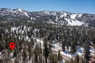 43411 Sheephorn Rd, Big Bear Lake, CA 92315 - Photo 3