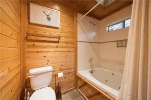 41714 Switzerland, Big Bear Lake, CA 92315 - Photo 35