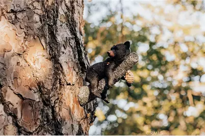 26395 Augusta Drive, Lake Arrowhead, CA 92352 - Photo 43