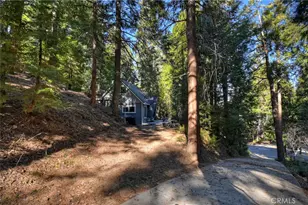 28999 Cedar Terrace, Cedar Glen, CA 92321 - Photo 5