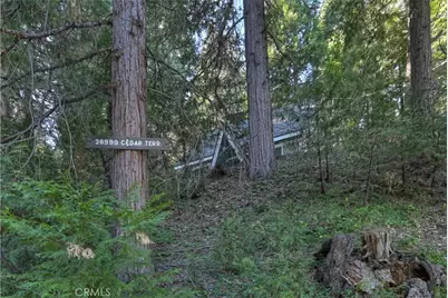 28999 Cedar Terrace, Cedar Glen, CA 92321 - Photo 3