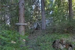 28999 Cedar Terrace, Cedar Glen, CA 92321 - Photo 3