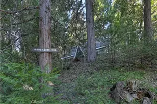 28999 Cedar Terrace, Cedar Glen, CA 92321 - Photo 3