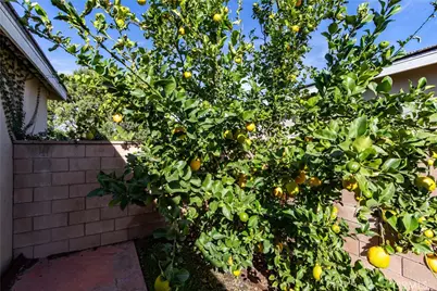 14915 Shoreham, Jurupa, CA 92880 - Photo 67