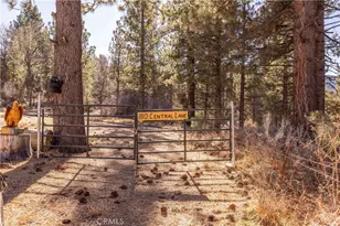 1110 Central, Big Bear City, CA 92314 - Photo 1